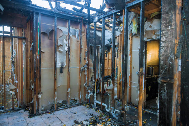 Professional Fire Damage Assessment technician working in Burton, MI